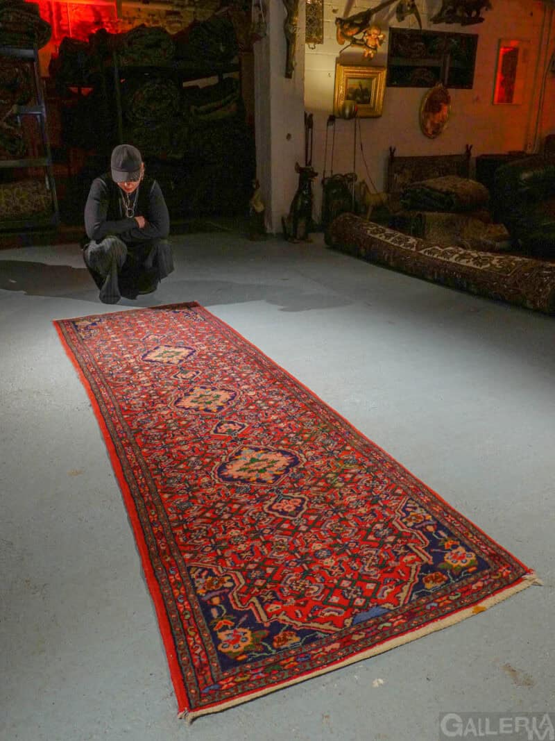 säväyttävä hamadan käytävämatto – 300 x 83 cm (kopio)