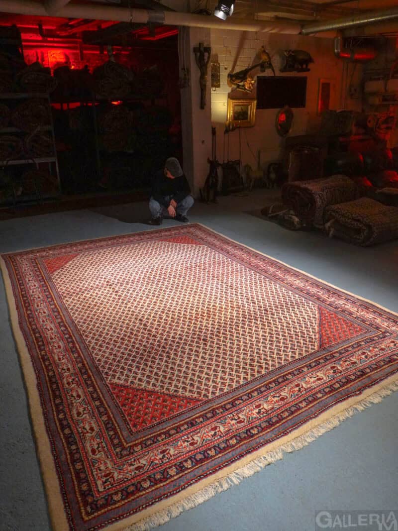 hempeän vaalea sarouk mir 340 x 245