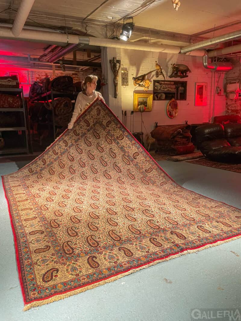 koristeellisen kaunis moud – 340 x 224 cm