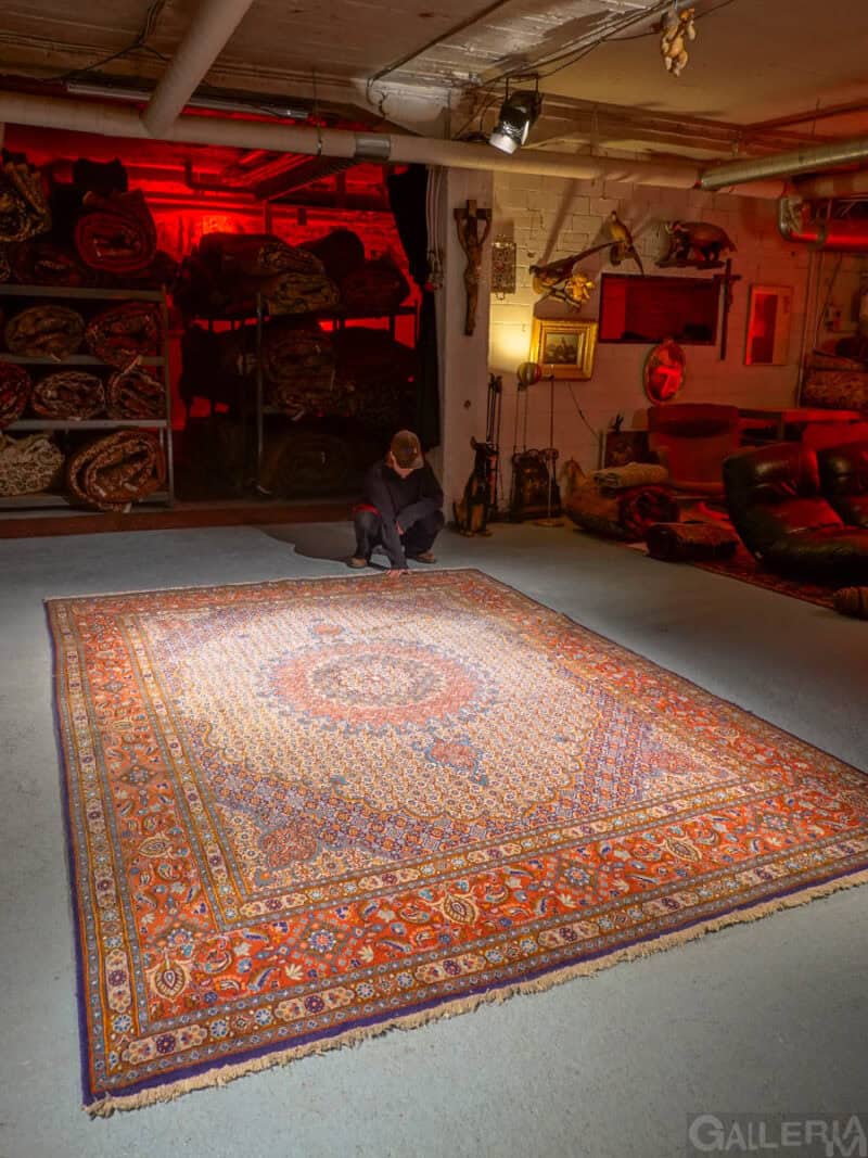 kauniin koristeellinen auringonkehä moud 345 x 245 cm