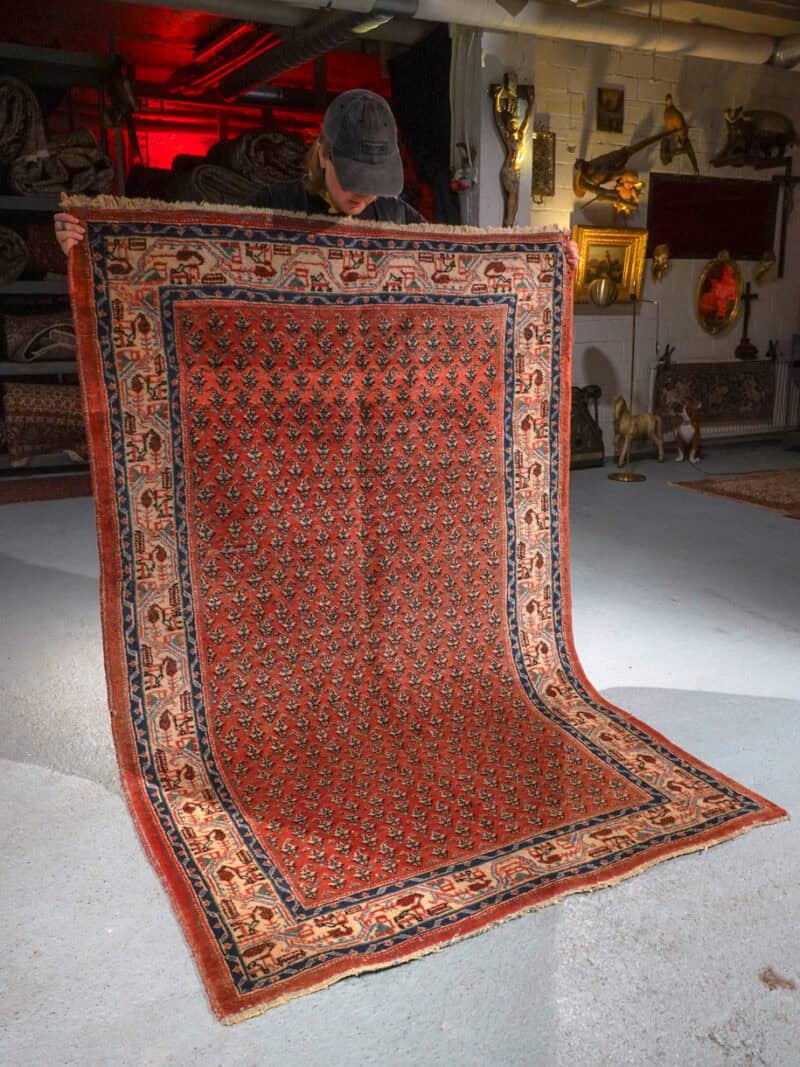 harmonisen vaalea sarouk mir 205 x 129 cm