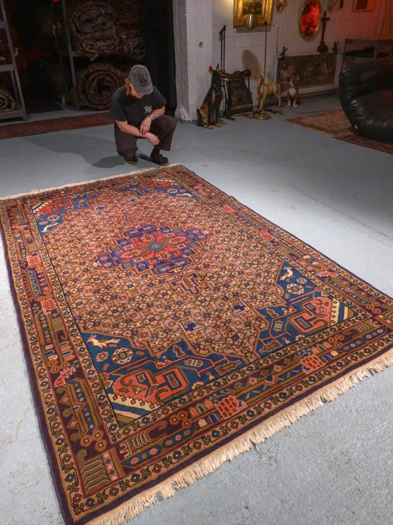mutkattoman luonteikas koliai 253 x 165 cm