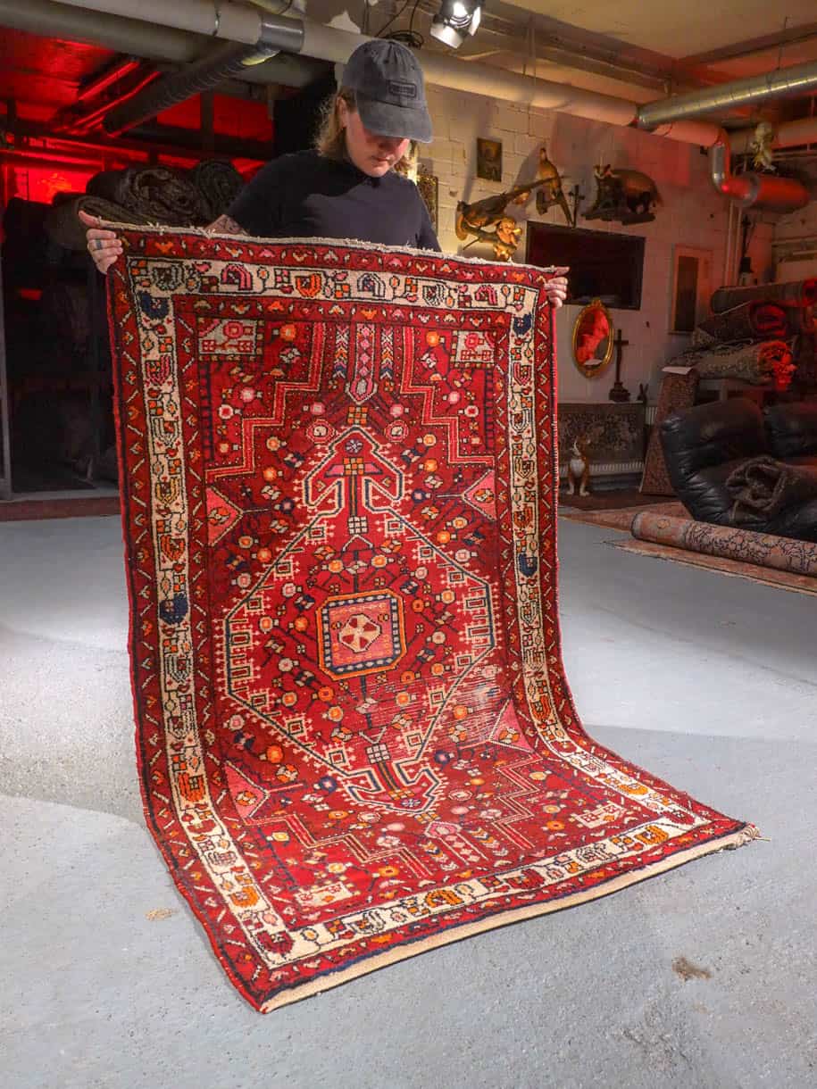 eloisan säväyttävä hamadan 175 x 107 cm