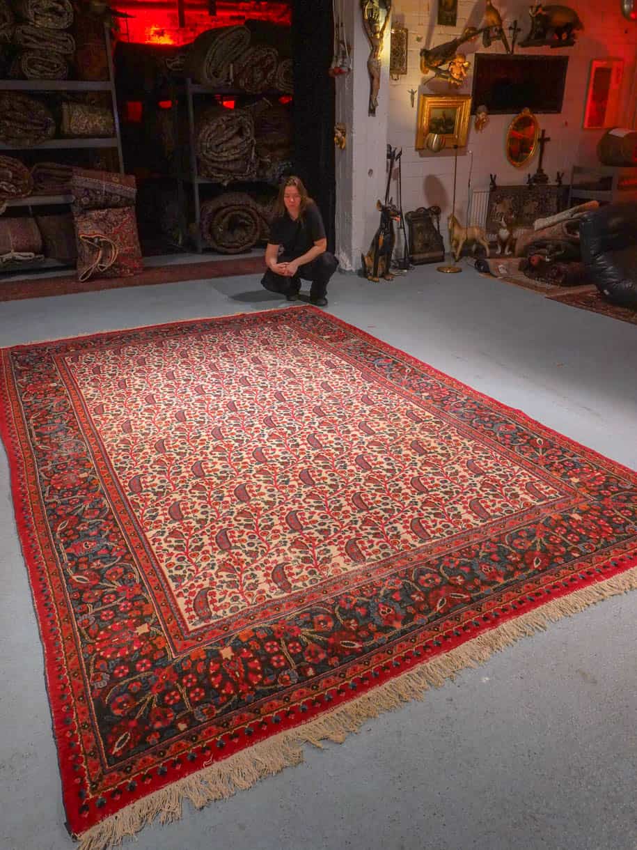 perinteisen koristeellinen meshed 306 x 205 cm (kopio)