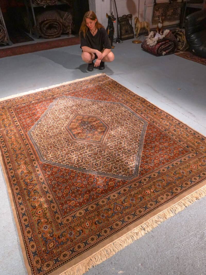 lempeän vaalea bijar – 250 x 203 cm (kopio)