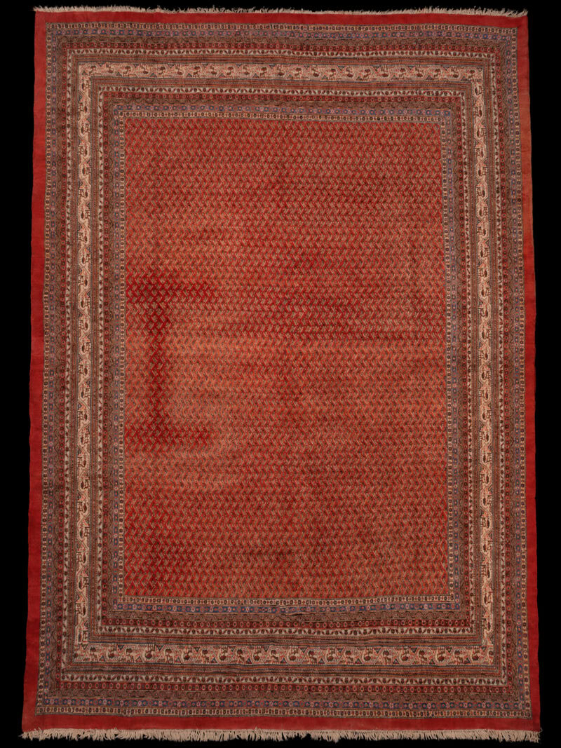 lämmittävän hienostunut sarouk mir – 420 x 310 cm
