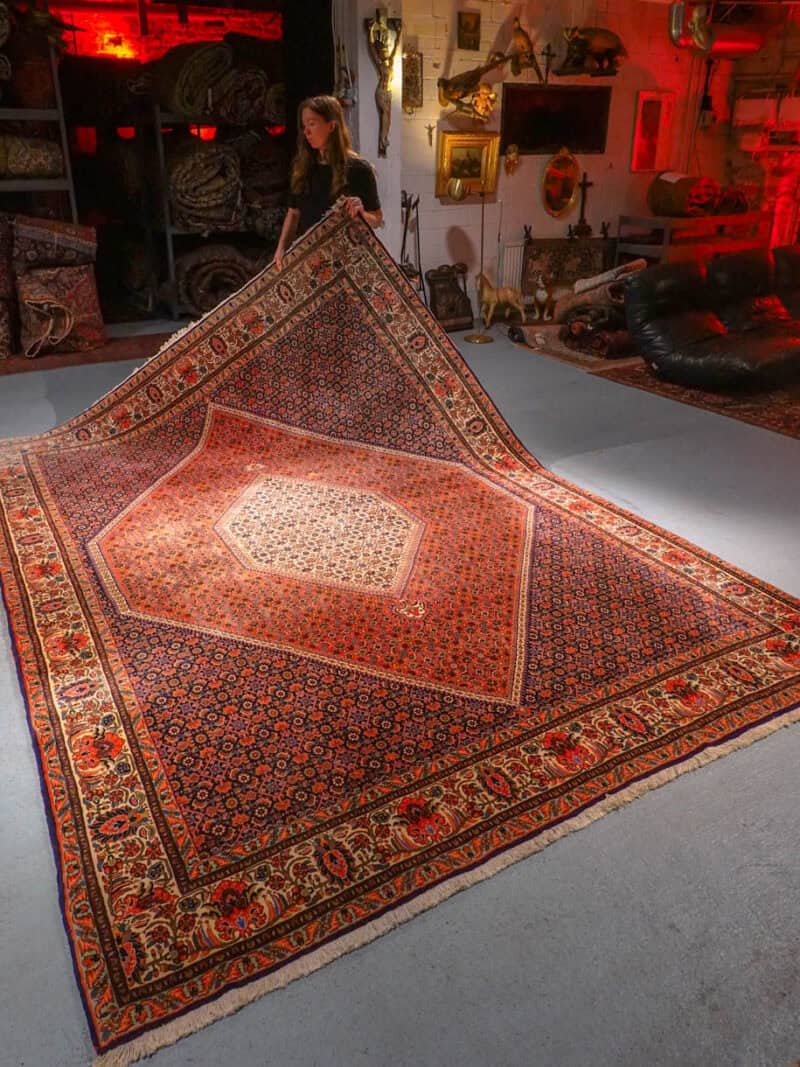 pastellisen maanläheinen bijar – 315 x 215 cm (kopio)