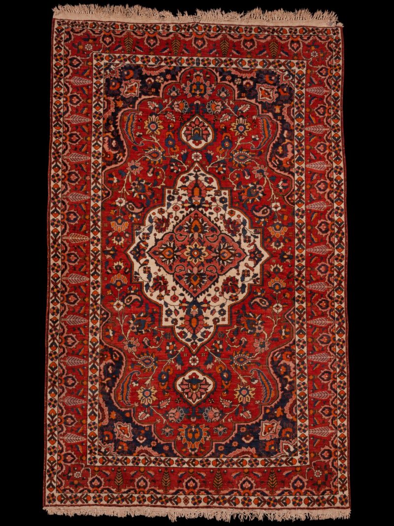 Punainen käsinsolmittu Bahtijaari-villamatto, 257 × 161 cm