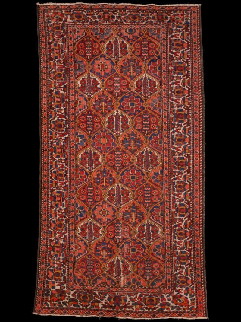 Punainen käsinsolmittu Bahtijaari-villamatto, 305 × 162 cm