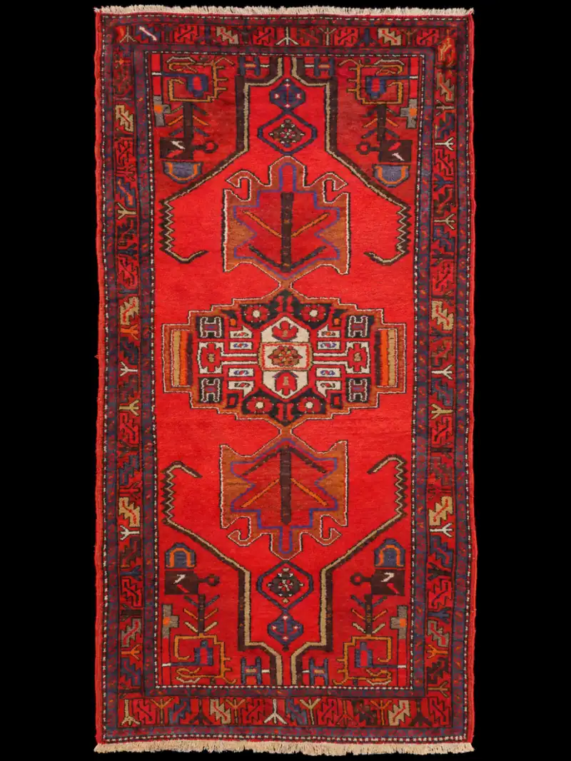 Tyylikkään kirkas Hamadan – 215 x 110 cm