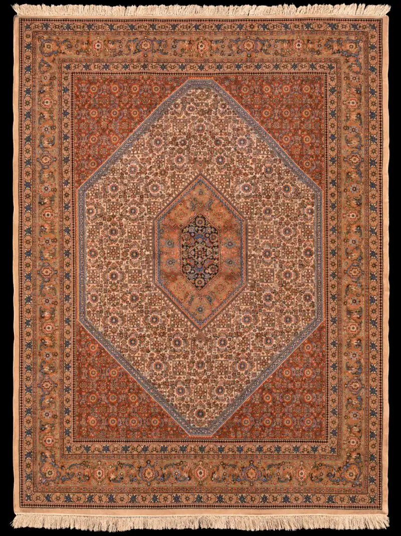 Runsaan yksityiskohtainen Bijar – 260 x 190 cm