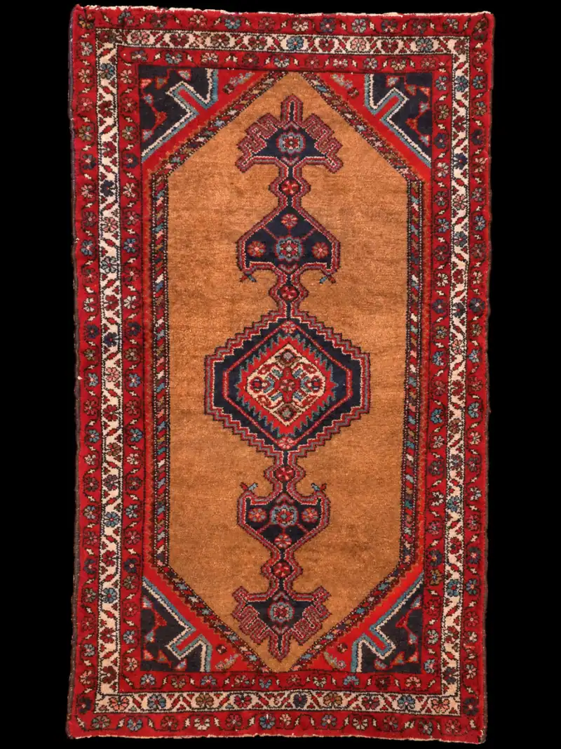 Ryhdikäs Hamadan – 174 x 100 cm