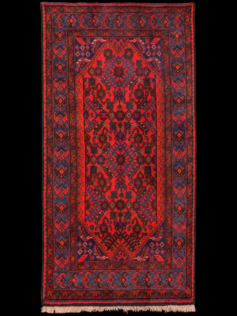 Maaginen Hamadan-käytävämatto – 225 x 112 cm