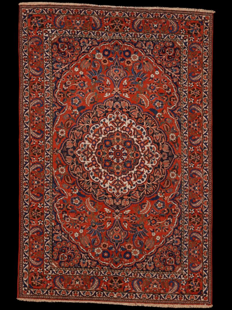 Punainen käsinsolmittu Bahtijaari-villamatto, 314 × 205 cm