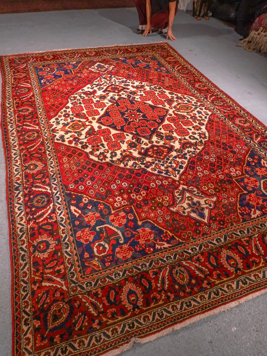 Punainen käsinsolmittu Bahtijaari-villamatto, 314 × 215 cm
