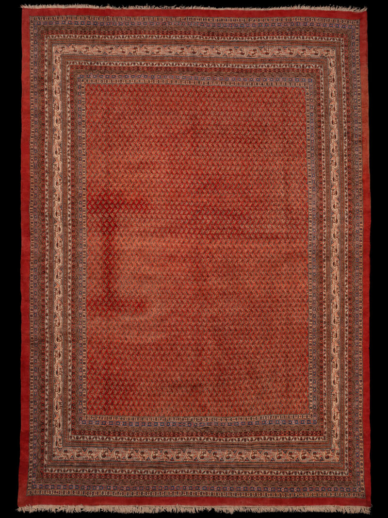 lämmittävän hienostunut sarouk mir – 420 x 310 cm