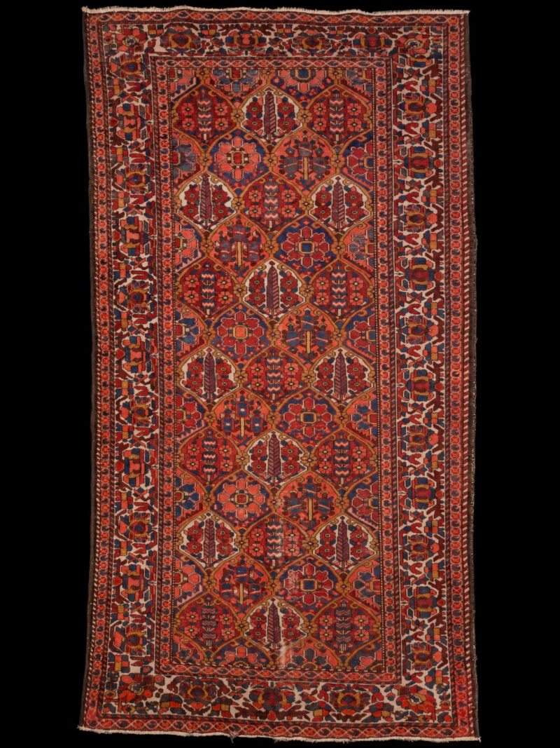 Punainen käsinsolmittu Bahtijaari-villamatto, 305 × 162 cm