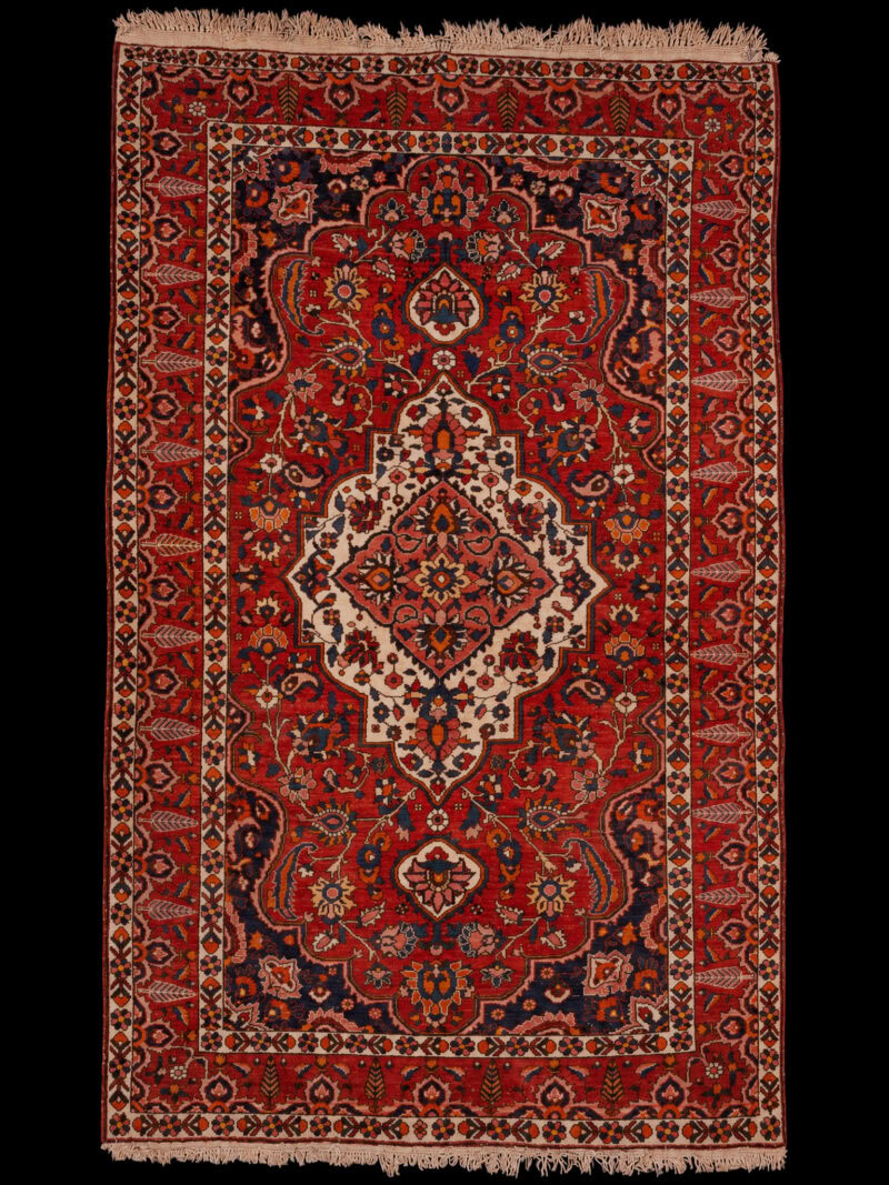Punainen käsinsolmittu Bahtijaari-villamatto, 257 × 161 cm