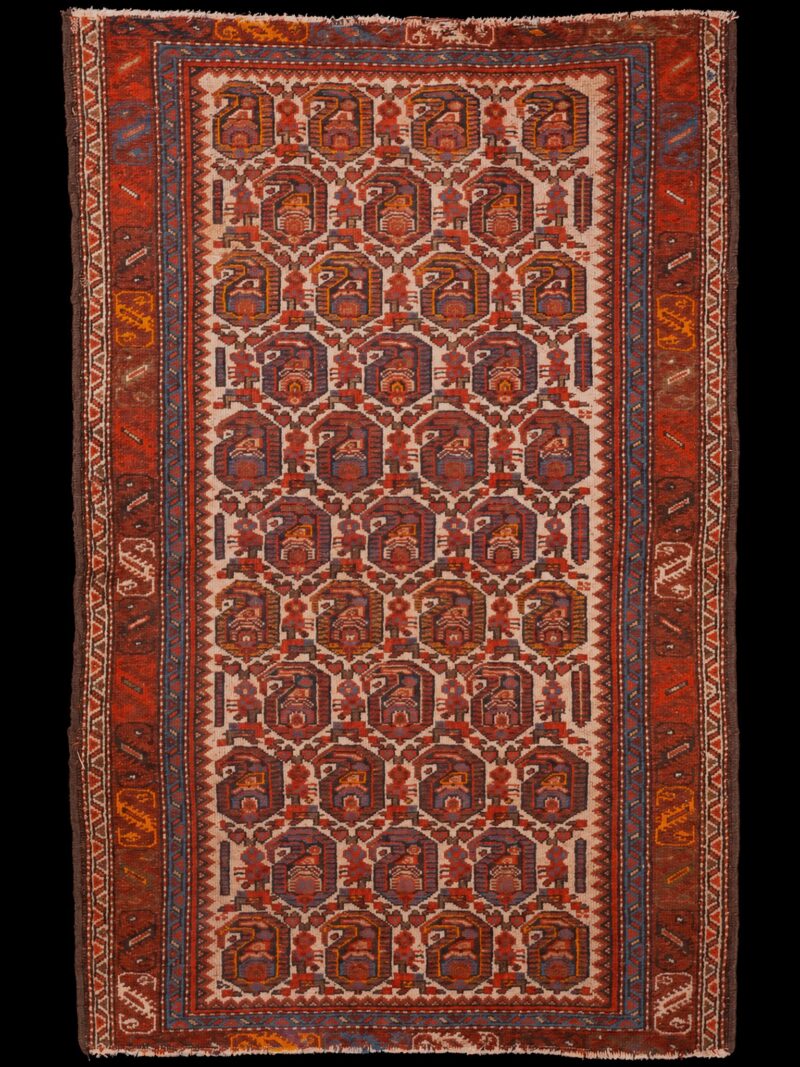 Punainen käsinsolmittu Malayer-villamatto, 168 × 111 cm