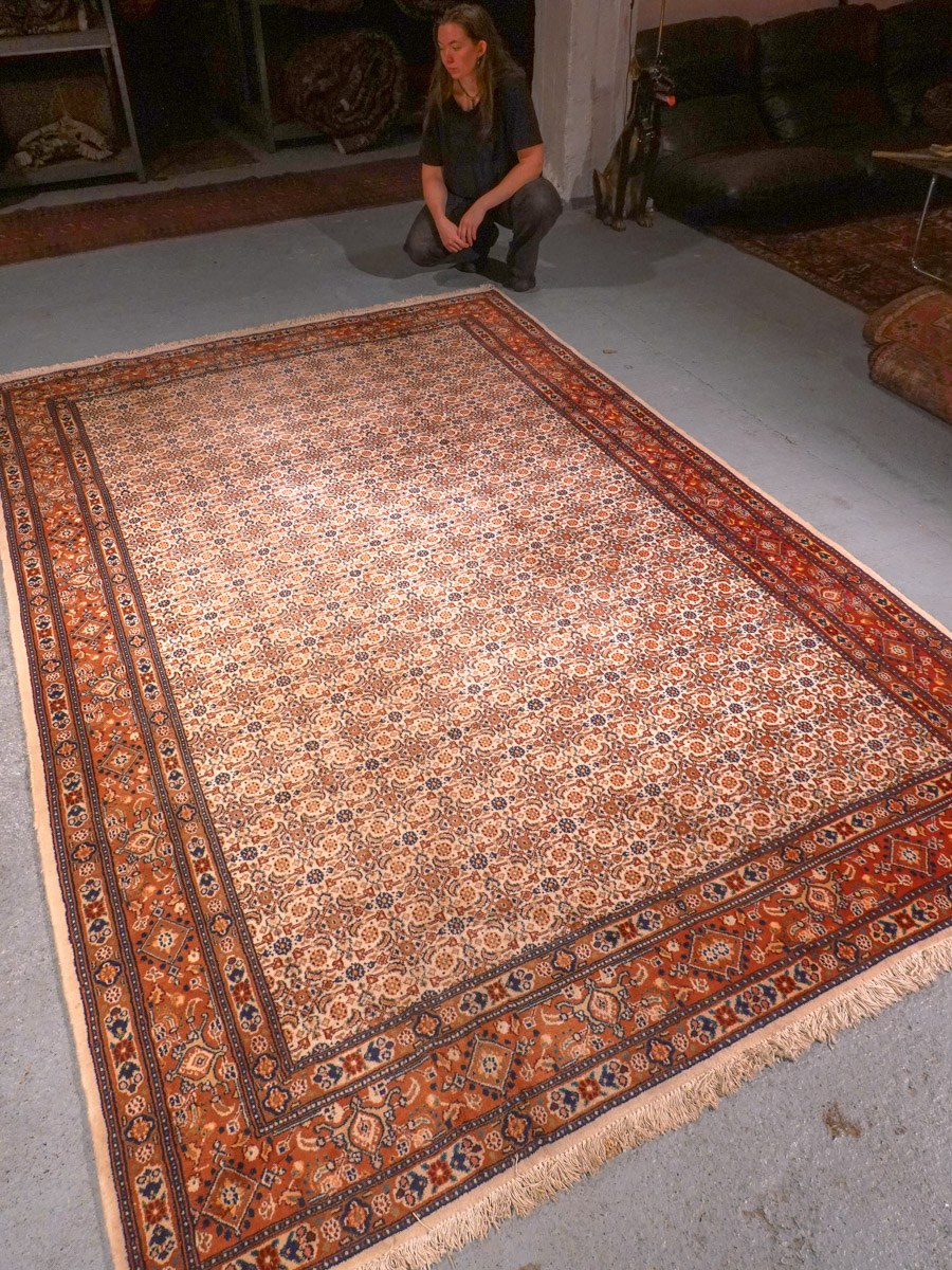 Vaalea käsinsolmittu Moud-villamatto, 300 × 196 cm