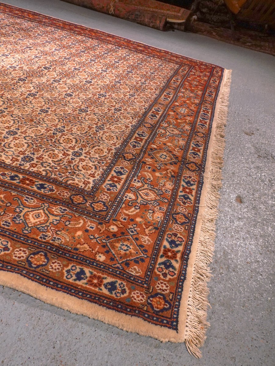 Vaalea käsinsolmittu Moud-villamatto, 300 × 196 cm