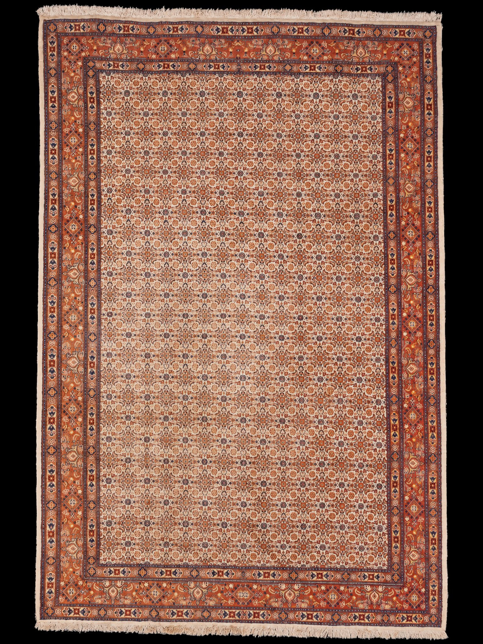 Vaalea käsinsolmittu Moud-villamatto, 300 × 196 cm