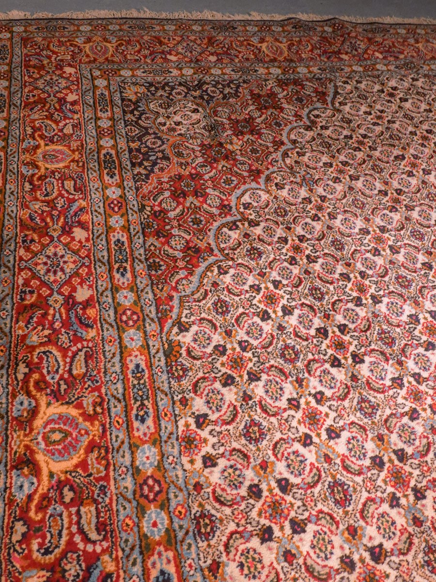 Vaalea käsinsolmittu Moud-villamatto, 383 × 243 cm