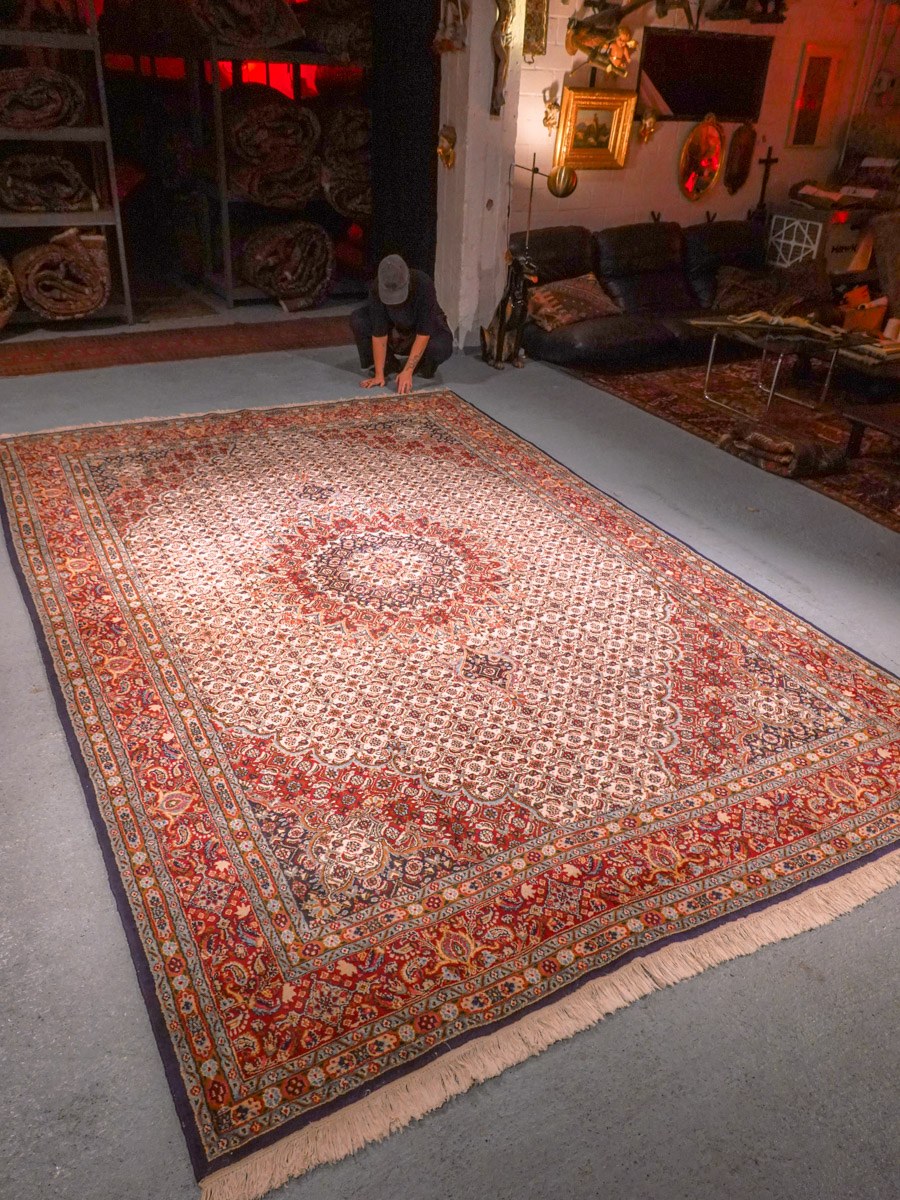 Vaalea käsinsolmittu Moud-villamatto, 383 × 243 cm
