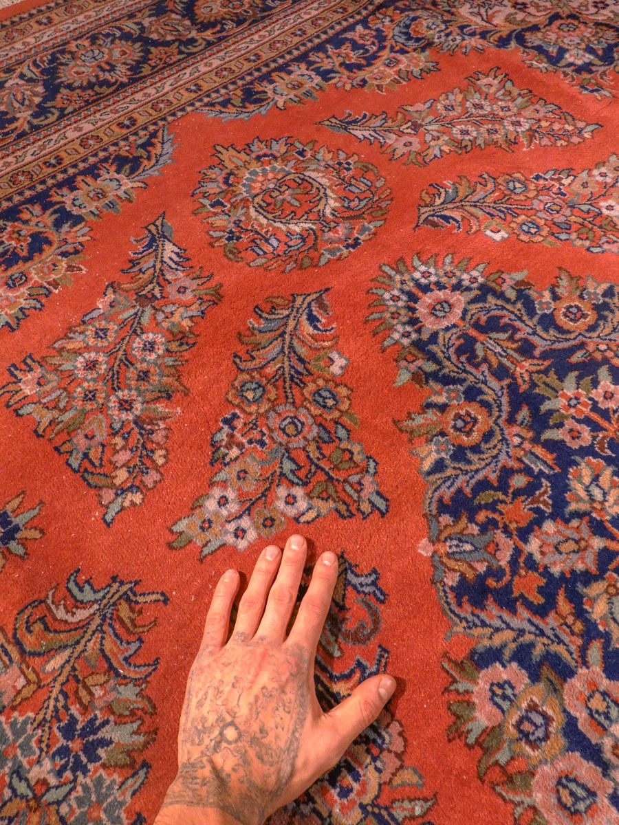 Punainen käsinsolmittu Sarouk-villamatto, 259 × 244 cm